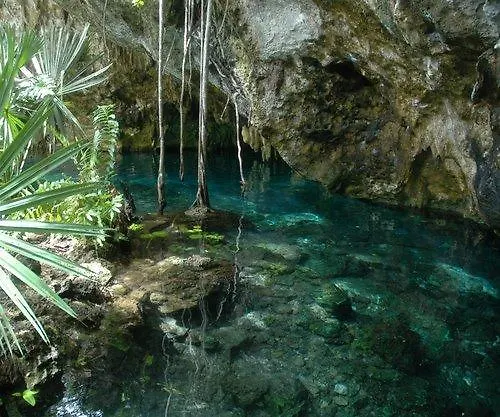 Hotel Acuario تولوم